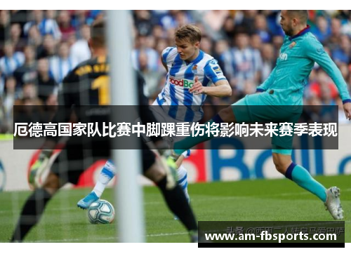 厄德高国家队比赛中脚踝重伤将影响未来赛季表现