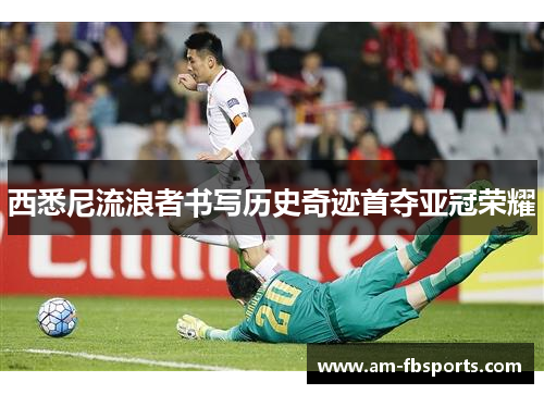 西悉尼流浪者书写历史奇迹首夺亚冠荣耀 西悉尼流浪者书写历史奇迹首夺亚冠荣耀