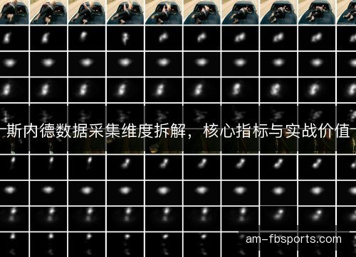 斯内德数据采集维度拆解，核心指标与实战价值